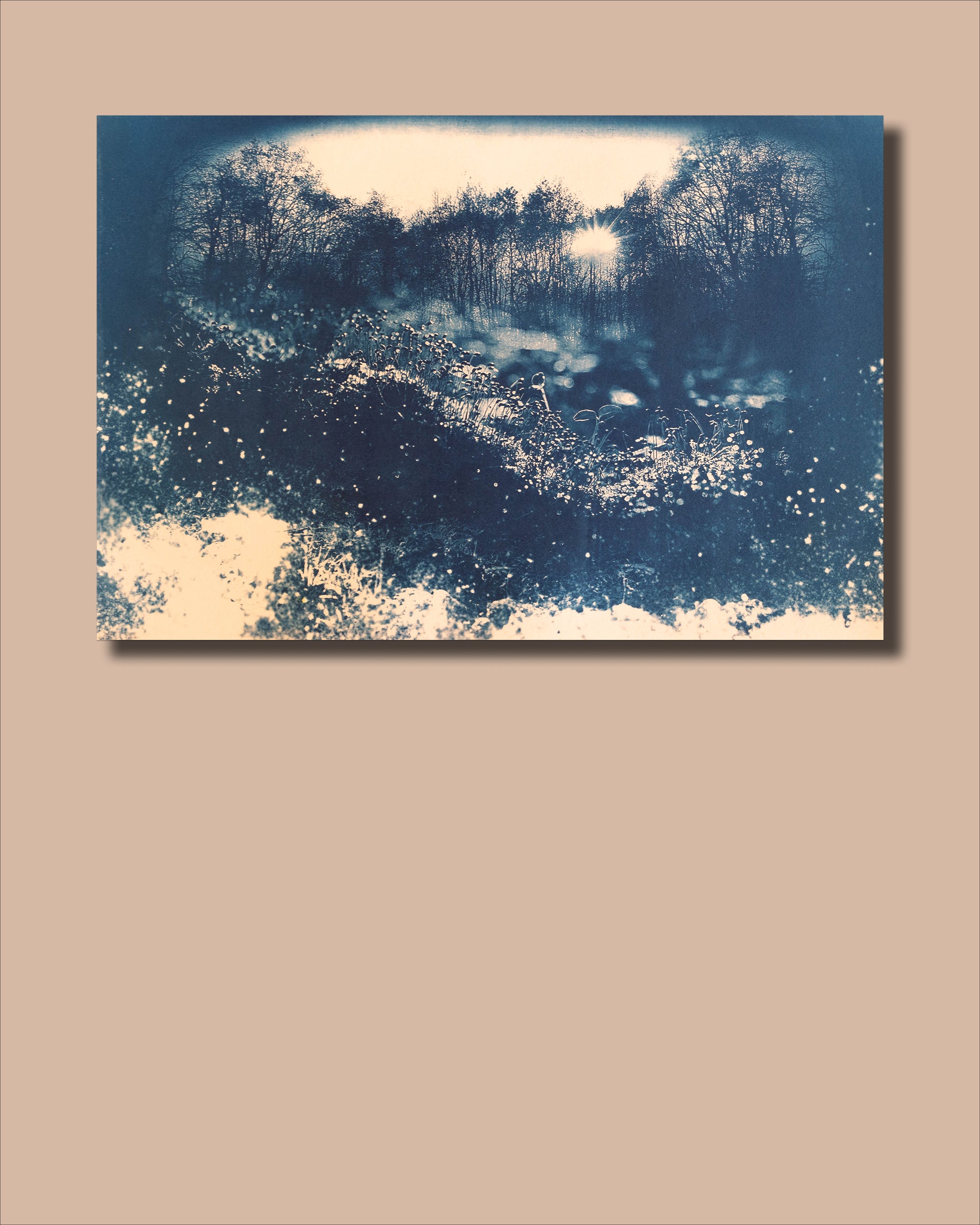 Iz 41, 18 - 20 Jolanta Franus